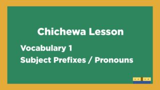 Learn to store speak chichewa