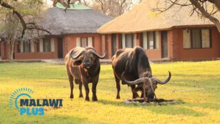 malawi top tourist attractions