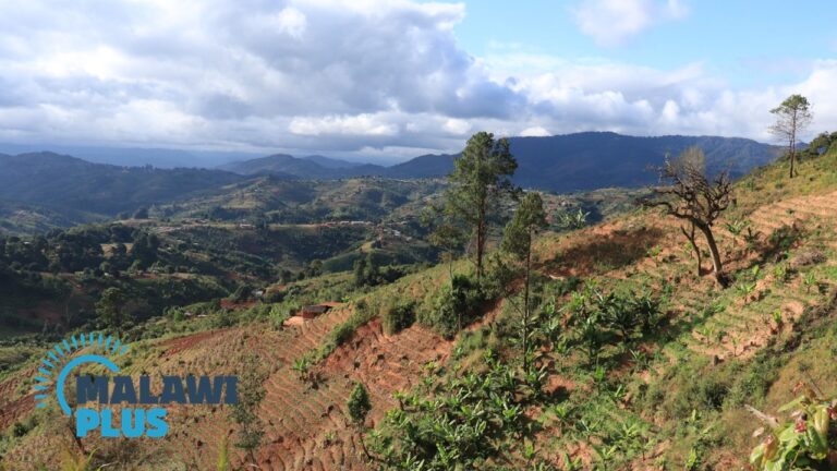 Chitipa Chitipa District in Malawi|Malawi Travel and Business Guide
