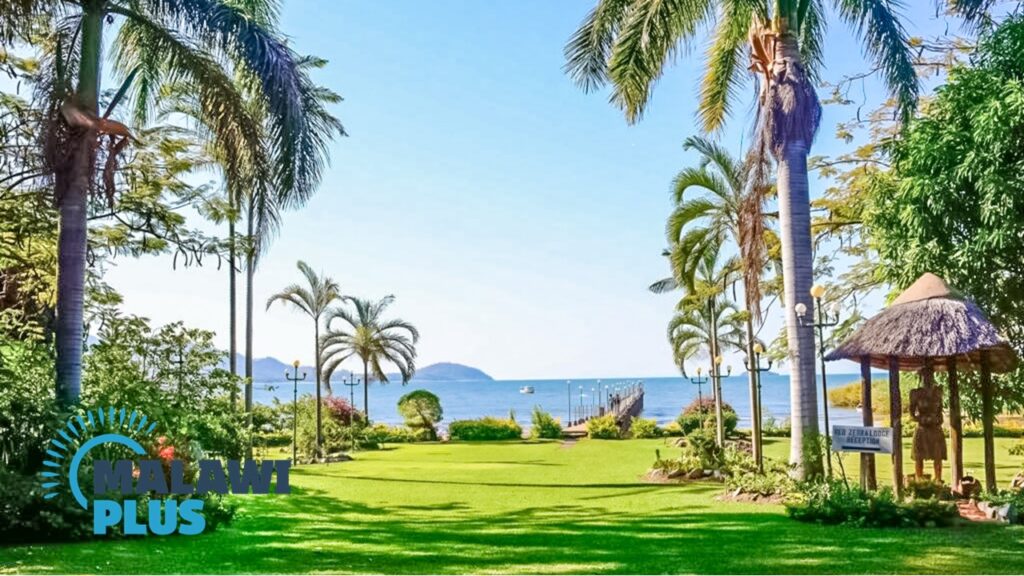 Red Zebra in Senga Bay, Salima｜Malawi Travel and Business Guide