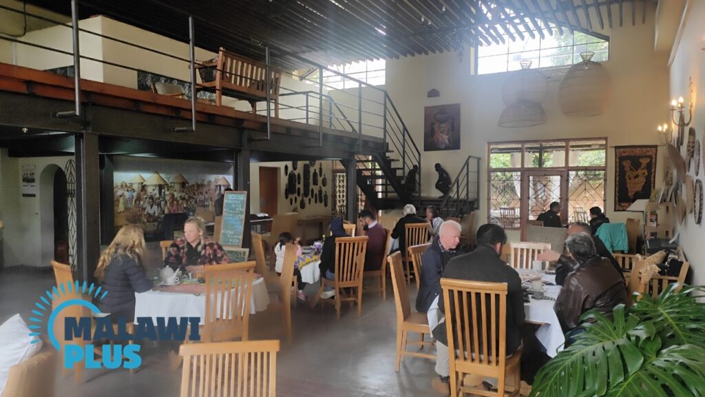 THE BEST BABYSITTERS IN BLANTYRE MALAWI visual data 4